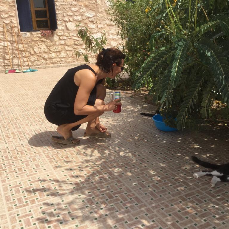 Dar Albatros Konuk evi Sidi Kaouki Dış mekan fotoğraf