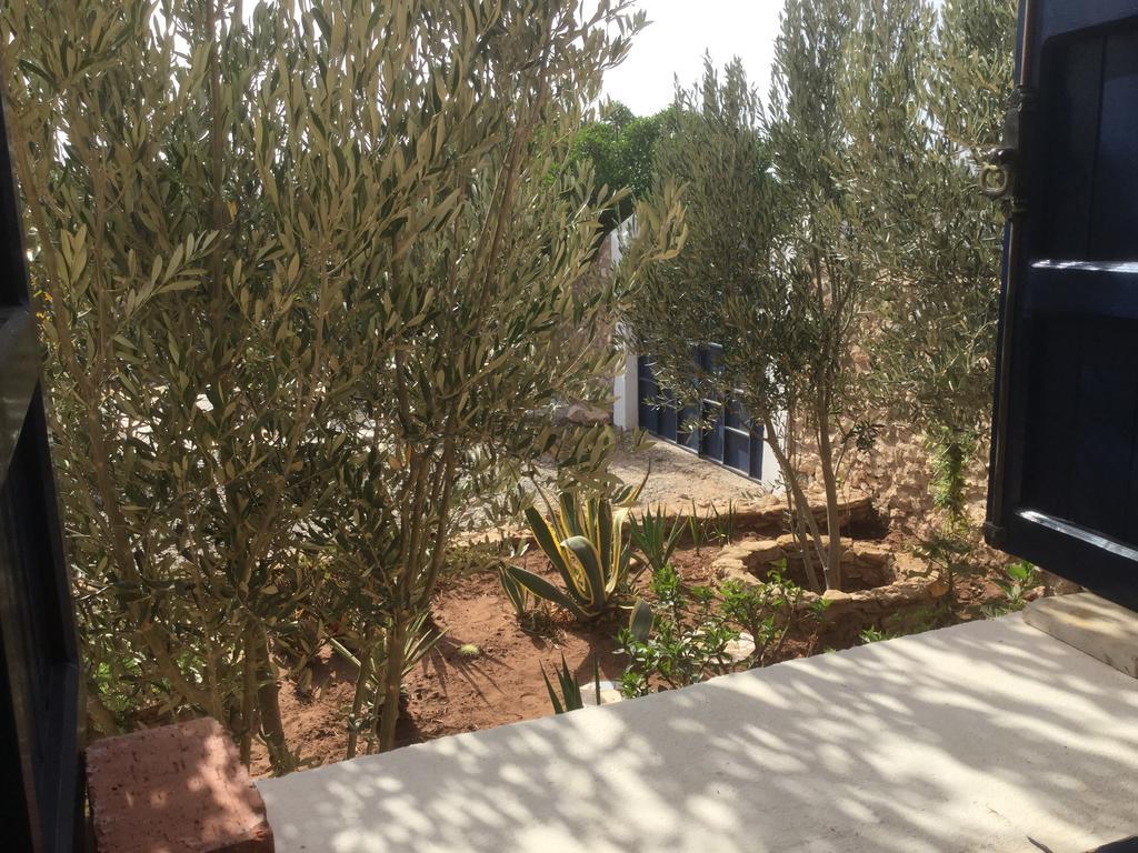 Dar Albatros Konuk evi Sidi Kaouki Dış mekan fotoğraf